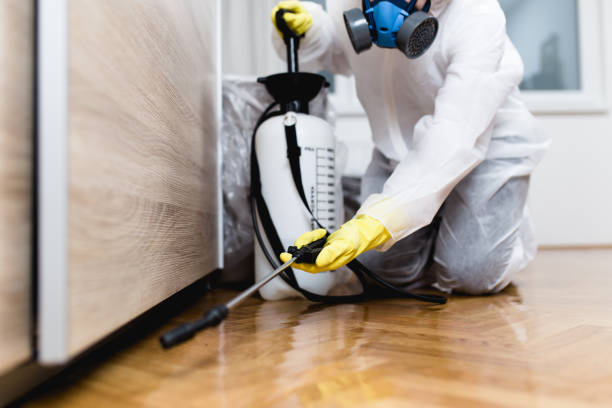 Best Residential Pest Control  in Lewiston, ID