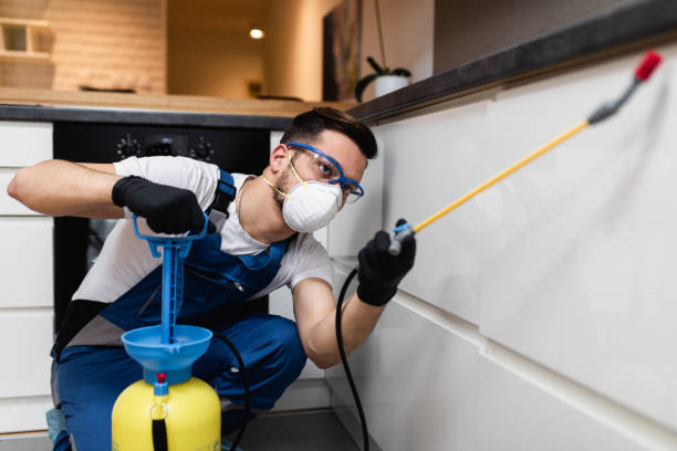 Best Mosquito Control Services  in Lewiston, ID