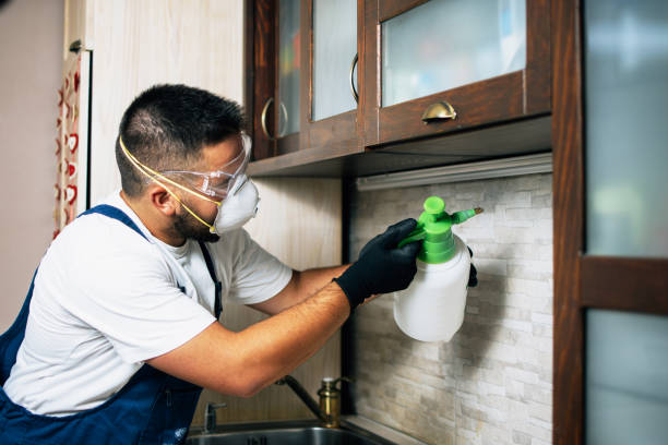 Best Exterminator Services  in Lewiston, ID