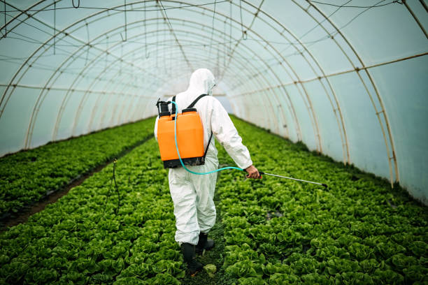 Best Pest Control Treatment  in Lewiston, ID