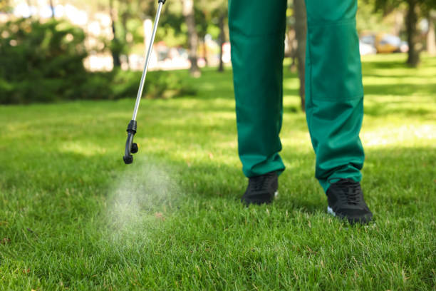 Best Pest Removal Services  in Lewiston, ID
