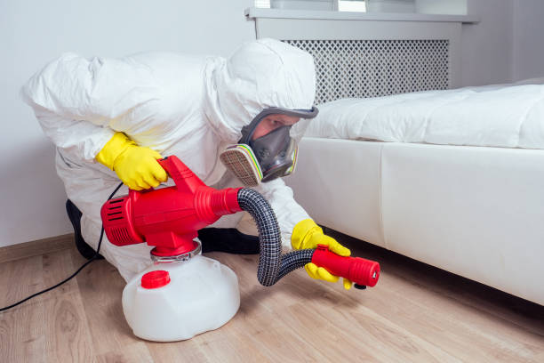 Professional Pest Control in Lewiston, ID
