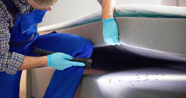 Best Local Pest Control Services  in Lewiston, ID