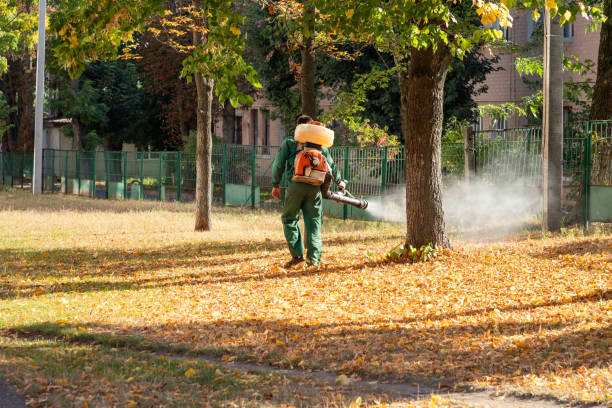 Best Pest Control Near Me  in Lewiston, ID