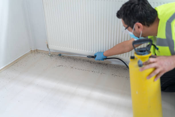 Best Pest Prevention Services  in Lewiston, ID