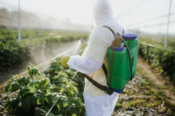 Best Pest Inspection Near Me  in Lewiston, ID